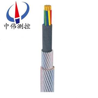 承荷探測(cè)電纜